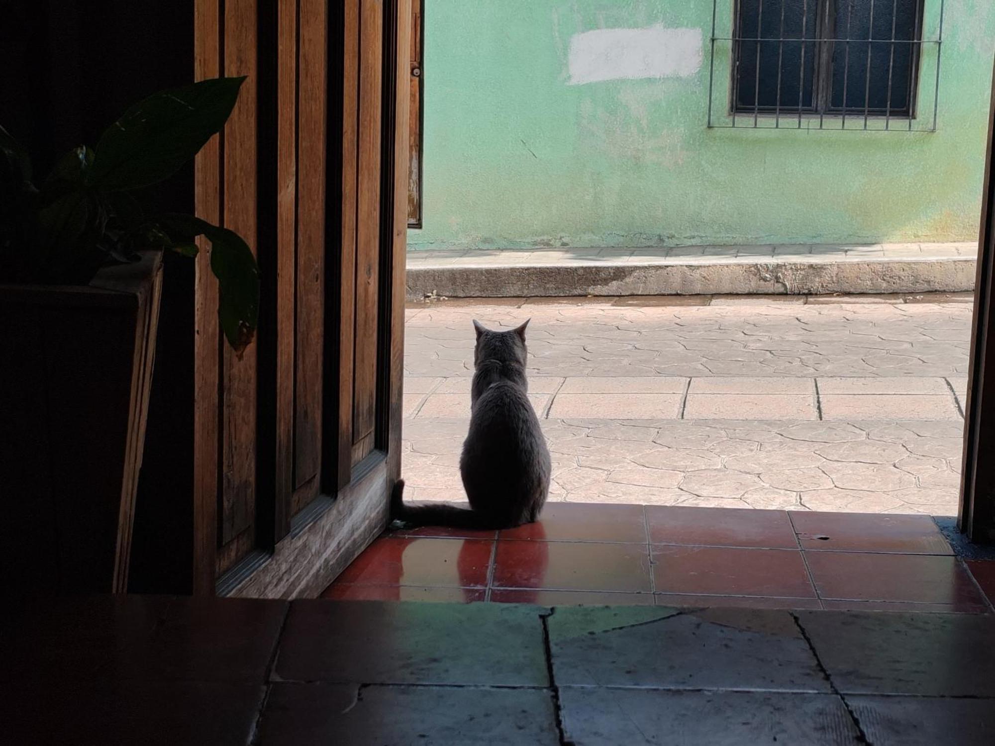 A Pousada Casa Satoshi San Cristóbal de Las Casas Exterior foto